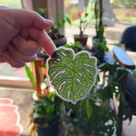 monstera leaf sticker Stickers