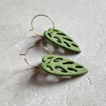 monstera: swiss cheese