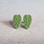 monstera: swiss cheese studs